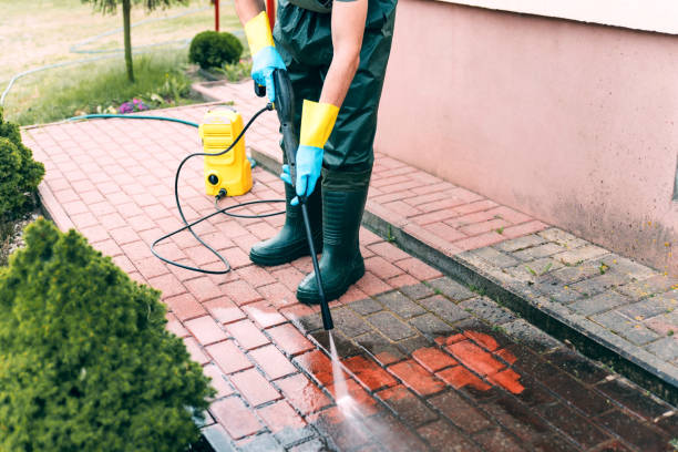 Best Solar Panel Cleaning  in Sparrow Bush, NY
